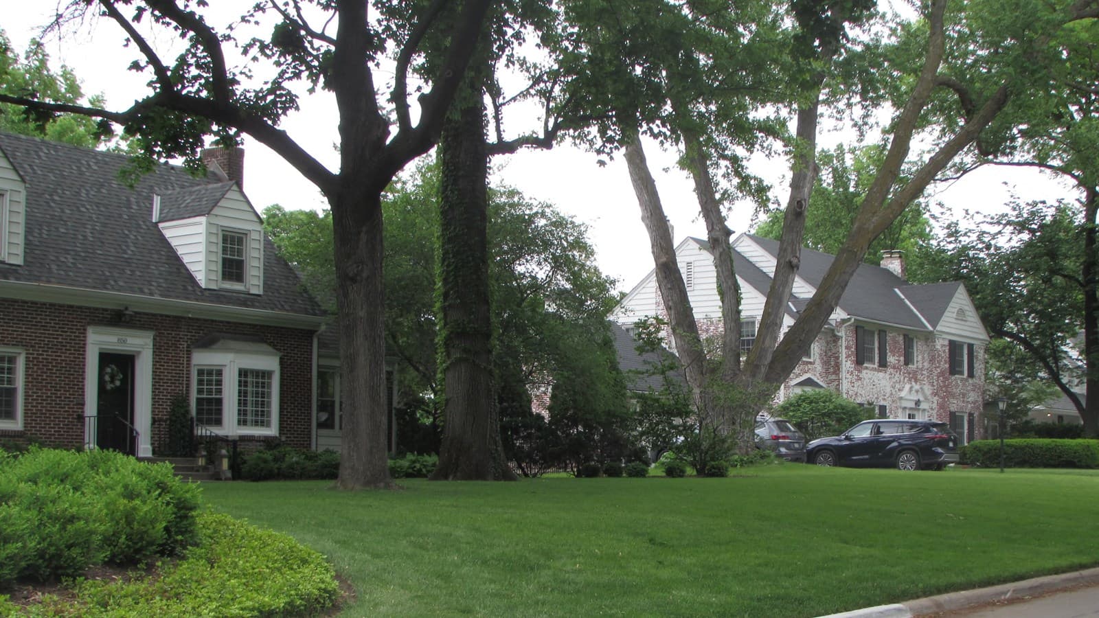 Tree-lined historic homes in the Fairacres Historic District